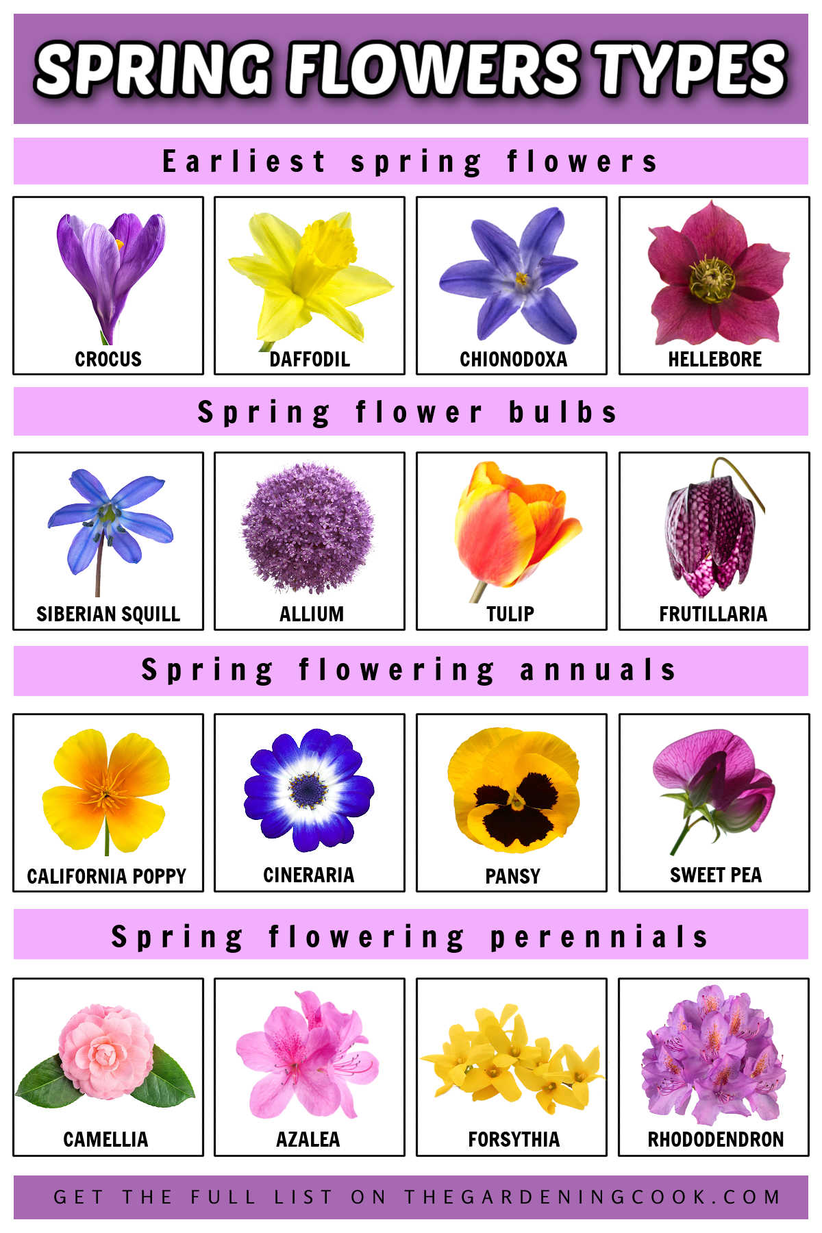 Tipos de flores da primavera, desde as que florescem no início da primavera até anuais, perenes e arbustos que florescem na primavera.