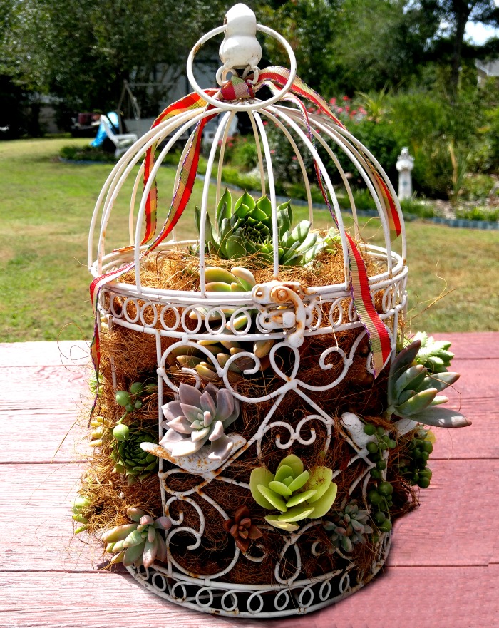 Uma jardineira de suculentas DIY em uma mesa rosa com um jardim ao fundo.
