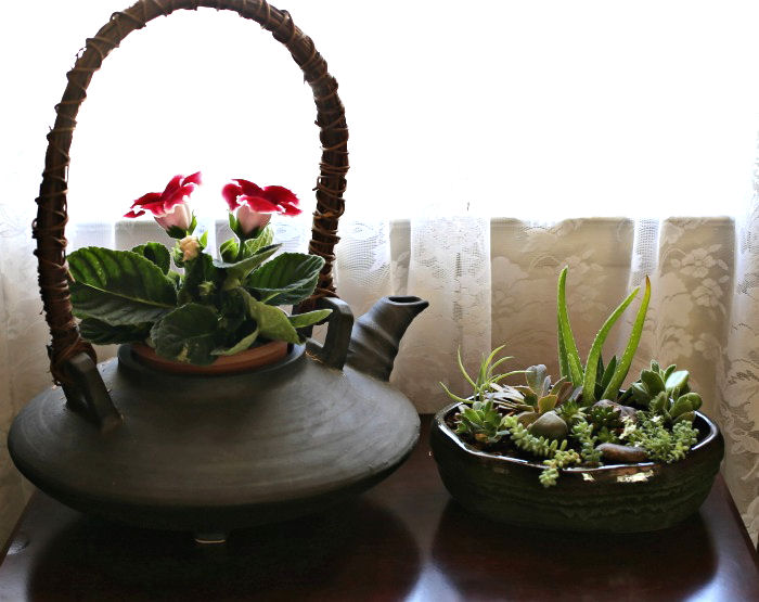 Plantas em um vaso em uma janela ensolarada
