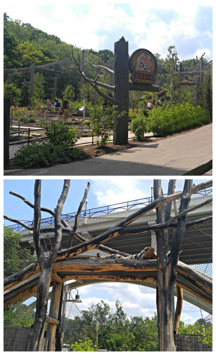 Passagem dos tigres no Zoológico Cleveland Metroparks