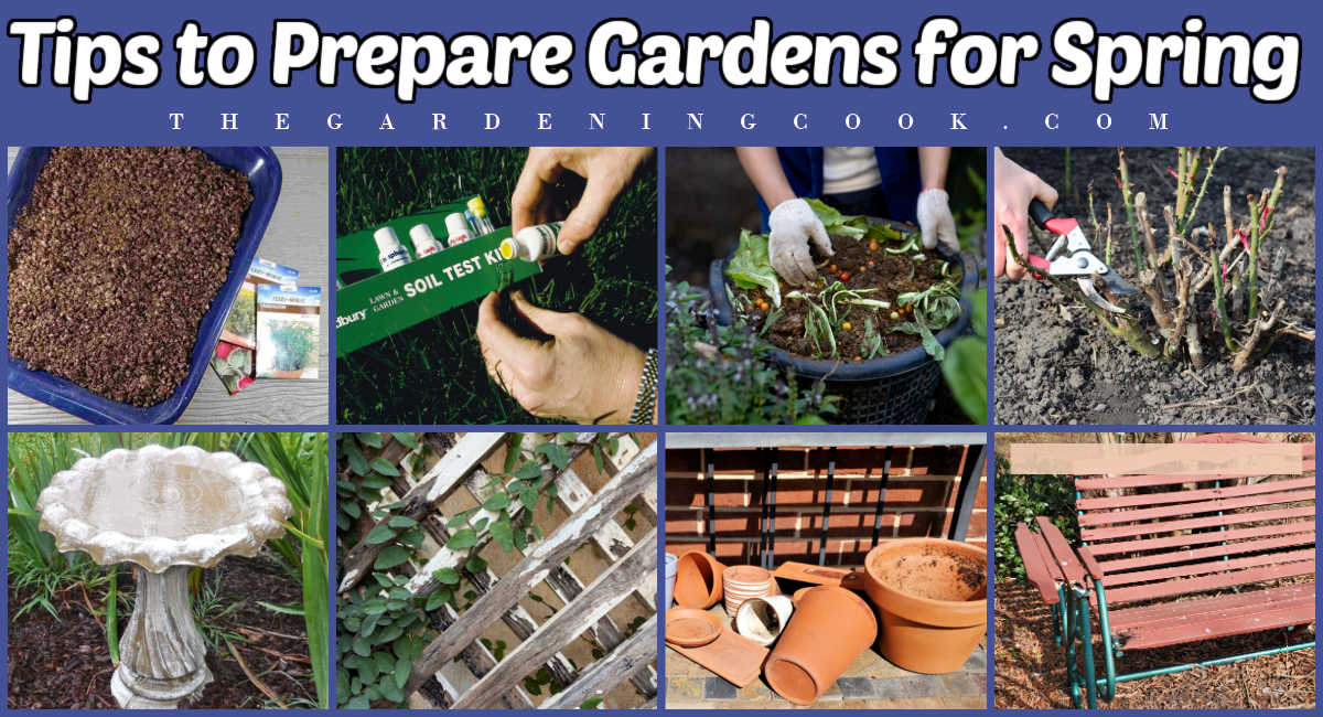 Imagens mostrando 8 maneiras de preparar o jardim para a primavera, incluindo iniciar sementes, testar o solo, fazer composto, podar rosas, limpar bebedouros de pássaros, pintar treliças, limpar vasos e consertar móveis de jardim.