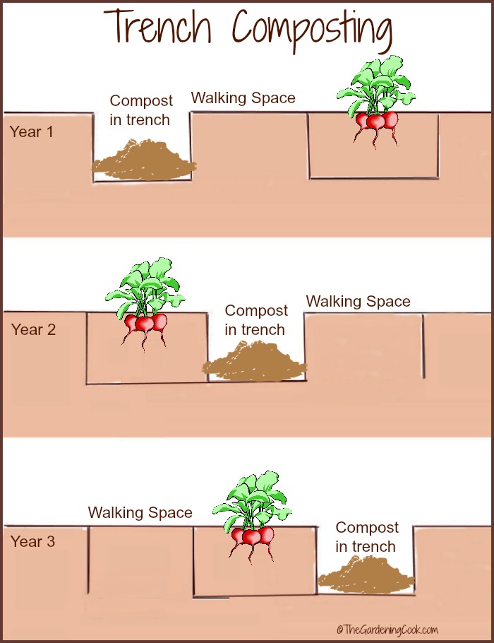 A compostagem em trincheiras é uma maneira eficaz de combinar rotação de culturas e compostagem em um procedimento fácil de usar. thegardeningcook.com