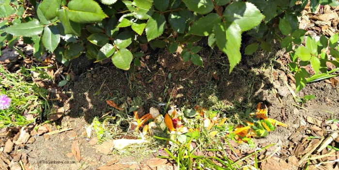 A compostagem em trincheiras é ótima para aqueles que não conseguem gerenciar uma pilha de compostagem normal.
