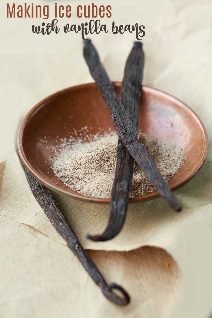 Truques de cozinha — fazer cubos de gelo com grãos de baunilha