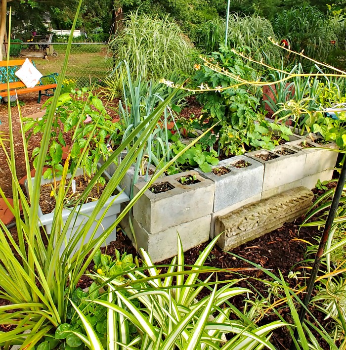 Canteiro de vegetais feito de blocos de concreto.