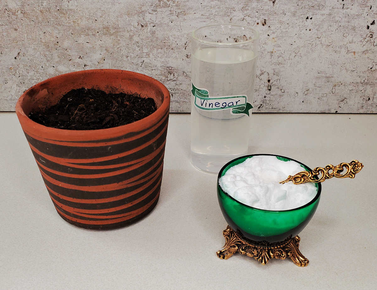 Um pote de vinagre, uma tigela de bicarbonato de sódio e terra em um vaso para um teste de solo com bicarbonato de sódio.