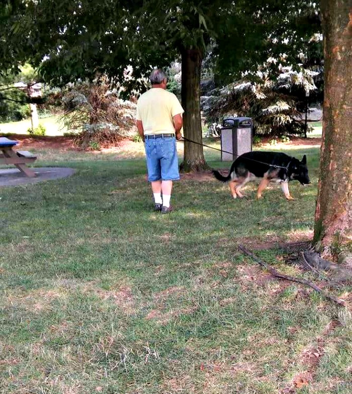 Passeie com um cachorro por um tempo antes de se acomodar no motel