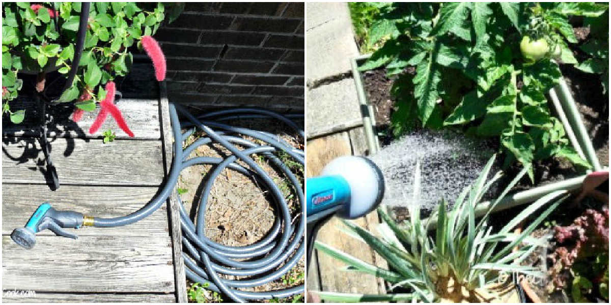 Uma mangueira enrolada ao lado de uma varanda e a mesma mangueira regando uma horta em recipientes.