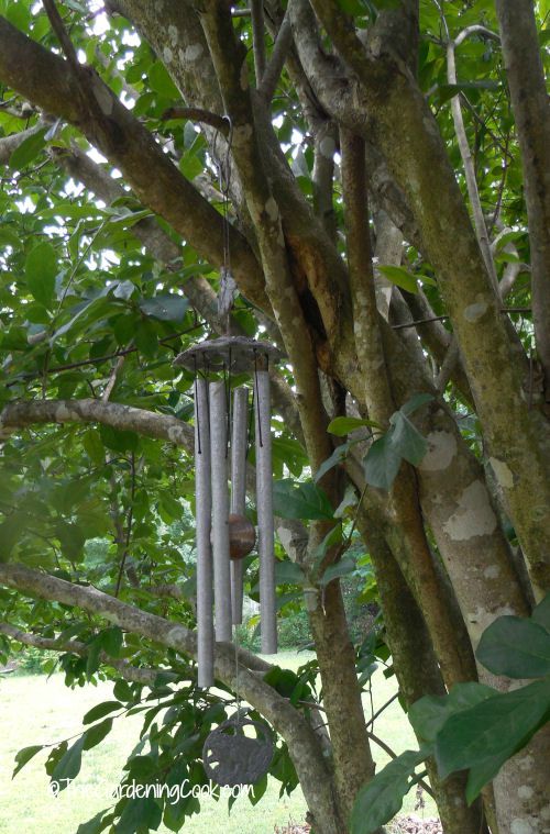 Um sino de vento pendurado nos galhos de uma árvore de myrtle de crepe.